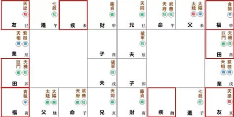 己年生人|紫微命盤解析——天府、武曲于子午宮守命